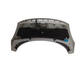 Cofano Anteriore RENAULT Grand Scenic Serie dal 09 al 16 - 651000036R - 3175359