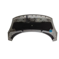 Cofano Anteriore RENAULT Grand Scenic Serie dal 09 al 16 - 651000036R - 3175359