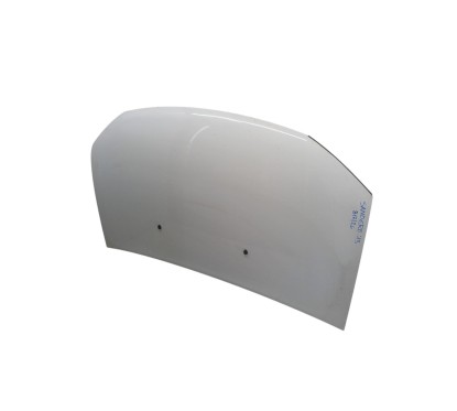 Cofano Anteriore DACIA Sandero 1° Serie - 6001551793 - 3666256