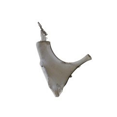 Parafango Anteriore Sinistro PEUGEOT 208 Serie dal 12 al 19 - 9672994980 - 3653689