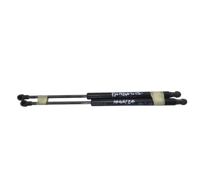 Pistoncini cofano Post. FIAT Panda VAN Serie dal 12 - 51841634 - 3671826