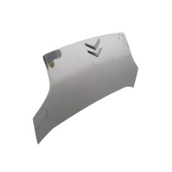 Cofano Anteriore CITROEN Nemo Serie dal 08 al 18 - 7901Q1 - 3623091