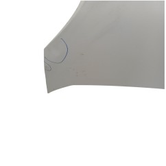 Cofano Anteriore CITROEN Nemo Serie dal 08 al 18 - 7901Q1 - 3623091