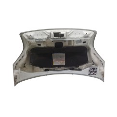 Cofano Anteriore CITROEN Nemo Serie dal 08 al 18 - 7901Q1 - 3623091