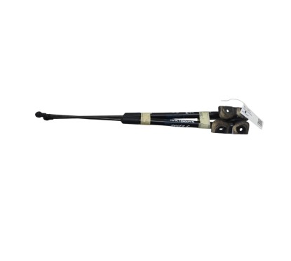Pistoncini cofano Post. RENAULT Scenic Serie dal 16