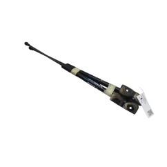 Pistoncini cofano Post. RENAULT Scenic Serie dal 16