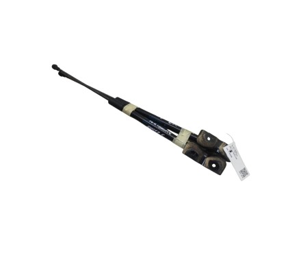 Pistoncini cofano Post. RENAULT Scenic Serie dal 16
