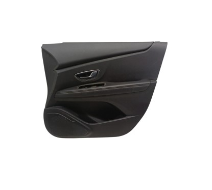 Pannello interno portiera ant DX RENAULT Scenic Serie dal 16