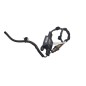 Sonda Lambda RENAULT Scenic Serie dal 16