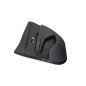 Pannello interno portiera post dx RENAULT Scenic Serie dal 16