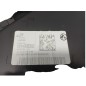 Pannello interno portiera post dx RENAULT Scenic Serie dal 16