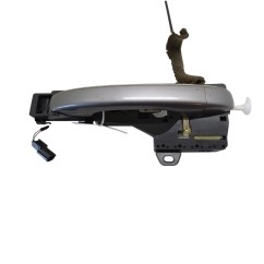Maniglia esterna Posteriore Sinistra RENAULT Scenic Serie dal 16