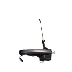 Maniglia esterna Posteriore Sinistra RENAULT Scenic Serie dal 16