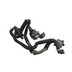 Pompa acqua RENAULT Scenic Serie dal 16