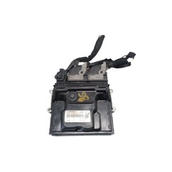 Centralina motore RENAULT Scenic Serie dal 16