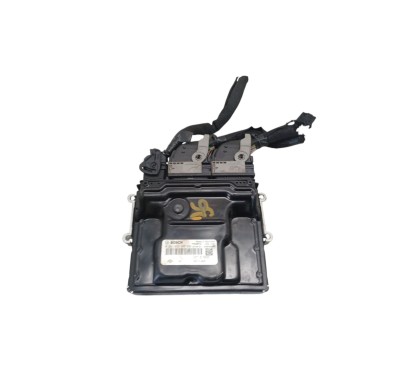 Centralina motore RENAULT Scenic Serie dal 16