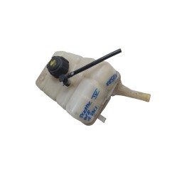 Vaschetta liquido radiatore RENAULT Scenic Serie dal 16