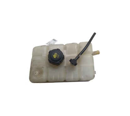 Vaschetta liquido radiatore RENAULT Scenic Serie dal 16