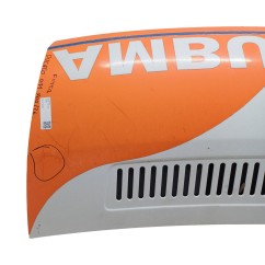 Cofano Anteriore FIAT Ducato 5° Serie - 1340587080 - 3493958