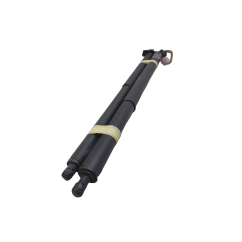 Pistoncini cofano Post. FORD Kuga Serie dal 16 al 19 - 1918023 - 1944109