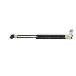 Pistoncini cofano Post. LANCIA Ypsilon 2° Serie - 46817935 - 3625983