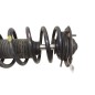 Ammortizzatore Anteriore Sinistro OPEL Antara Serie