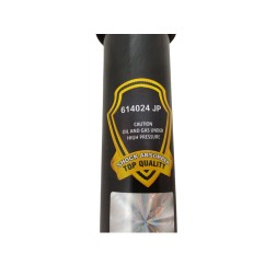 Ammortizzatore posteriore DX LANCIA Musa 1° Serie - 50705413 - 3684434