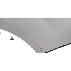 Parafango Anteriore Destro FIAT Doblo Serie dal 09 al 15 - 51822254 - 3526264