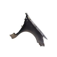 Parafango Anteriore Sinistro RENAULT Clio Serie dal 04 al 08 - 631014270R - 3700153
