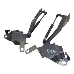 Cerniere cofano anteriore dx e sx RENAULT Scenic X MOD