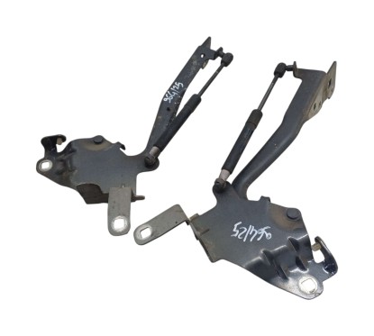 Cerniere cofano anteriore dx e sx RENAULT Scenic X MOD