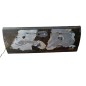 Ribaltina posteriore FORD F150 Serie dal 97 al 04