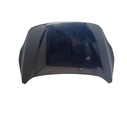 Cofano Anteriore BMW Serie 3 F31 Touring - 41007290944 - 3714129