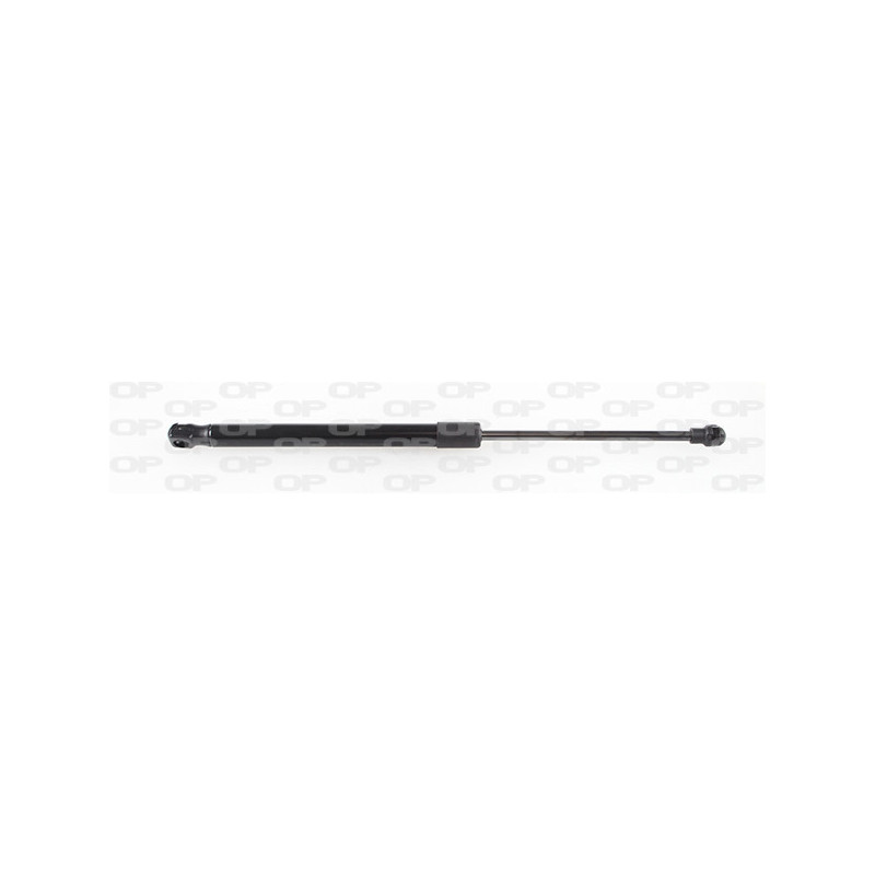 Molla A Gas Portellone posteriore destro/Sinistro per Smart Fortwo GSR6518.00