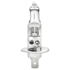 Lampadina - H1 Standard per Abarth - 500 / 595 / 695 - 1.4 (312.AXF11, 312.AXF1A) e altri modelli 002089131 - 14-002089131 -