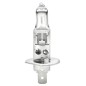 Lampadina - H1 Standard per Abarth - 500 / 595 / 695 - 1.4 (312.AXF11, 312.AXF1A) e altri modelli 002089131