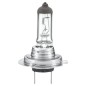 Lampada H7 24V. 007157241