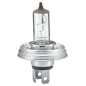 Lampadina R2 12/40-45 per Austin - Metro I Fastback (Xf) - 1.0 e - Metro I Fastback (Xf) - 1.3 e altri modelli 002088141
