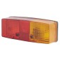Luce posteriore destro 003184041