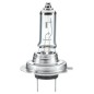 Lamp.H7,12V,55W,Cromo, Px 26 D per Abarth - 500 / 595 / 695 - 1.4 (312.AXF11, 312.AXF1A) e altri modelli 007157551