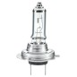 Lamp.H7,12V,55W,Cromo, Px 26 D per Abarth - 500 / 595 / 695 - 1.4 (312.AXF11, 312.AXF1A) e altri modelli 007157551