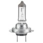 Lampadina H18 12V 65W per Ford - Ecosport - 1.5 Ecoblue Tdci e - Ecosport - 1.5 Tdci Ecoblue e altri modelli 217337101