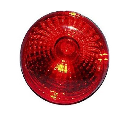 Luce posteriore 24 V P21 5W 965039131 - 14-965039131 - 14-965039131