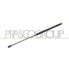 Molla A Gas destro/Sinistro Portellone posteriore (280N L.503MM) per Fiat Panda e Panda 4X4 - Natural Power FT1229055 -