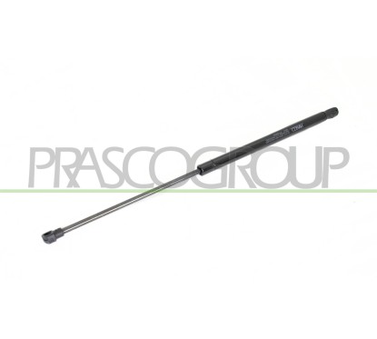 Molla A Gas destro/Sinistro Portellone posteriore (280N L.503MM) per Fiat Panda e Panda 4X4 - Natural Power FT1229055