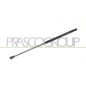 Molla A Gas destro/Sinistro Portellone posteriore (280N L.503MM) per Fiat Panda e Panda 4X4 - Natural Power FT1229055