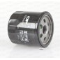 Filtro Olio EOF4222.20