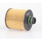 Filtro Olio EOF4166.10