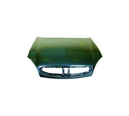 Cofano anteriore Xsara 09/00 10/04 per Citroen Xsara (N1_N0_N2) 0953076106 - 56-0953076106 - 56-0953076106