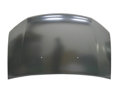 Cofano anteriore Dacia-Dacia Logan e altri modelli 00206030 - 49-00206030 - 49-00206030